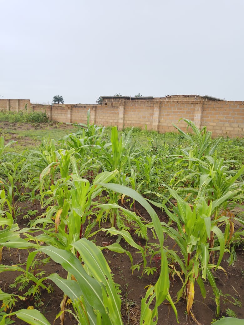 Land for Sale in Martha vineyard residential estate,off idoro road, Akwa Ibom - Image 1