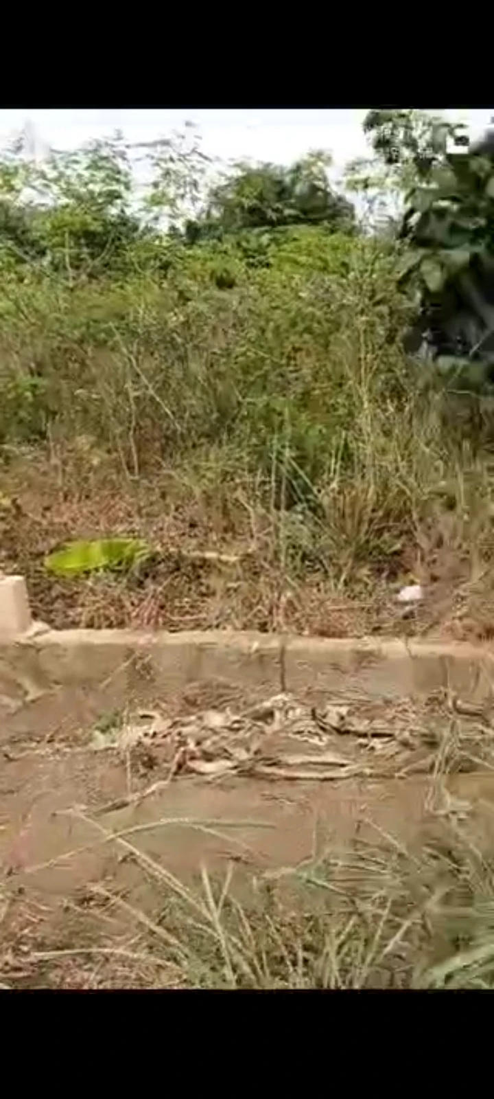 Land for Sale in Opposite National Estate  Ikot ntuen  Off Abak Rd  Near teaching hospital, Akwa Ibom - Image 1