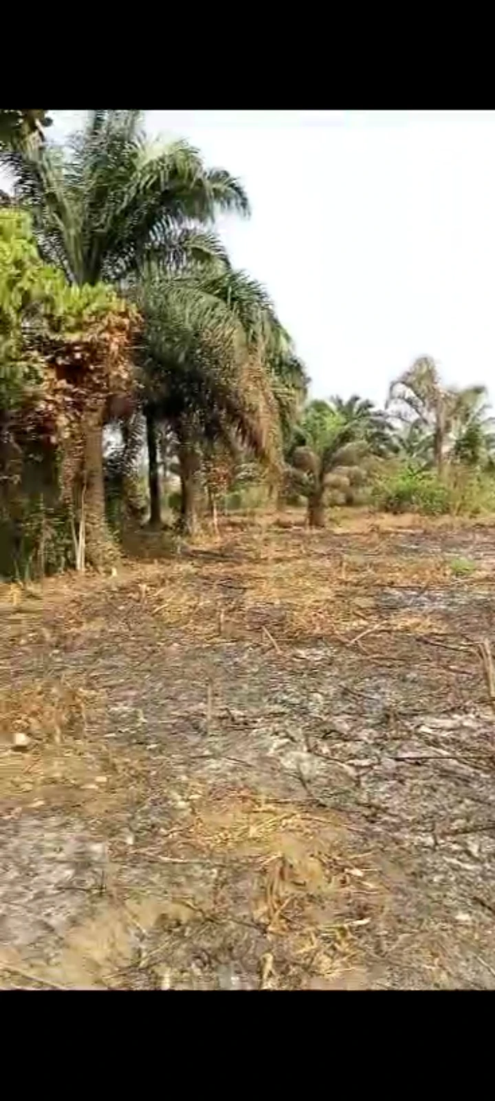 Land for Sale in Nung Ette, Shelter Afrigue Extension, Akwa Ibom - Image 1