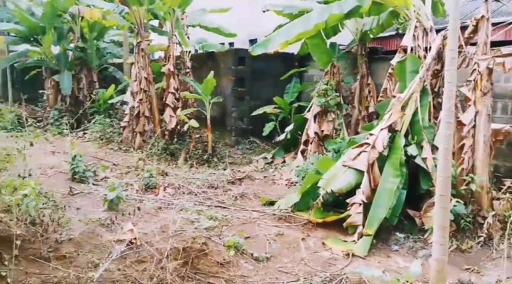 Land for Sale in Sheer Grace, Akwa Ibom - Image 1