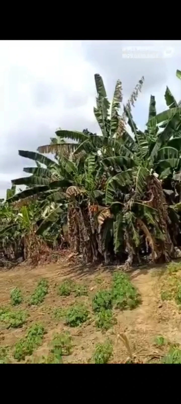 Land for Sale in Shelter afrrique  extention, Akwa Ibom - Image 1