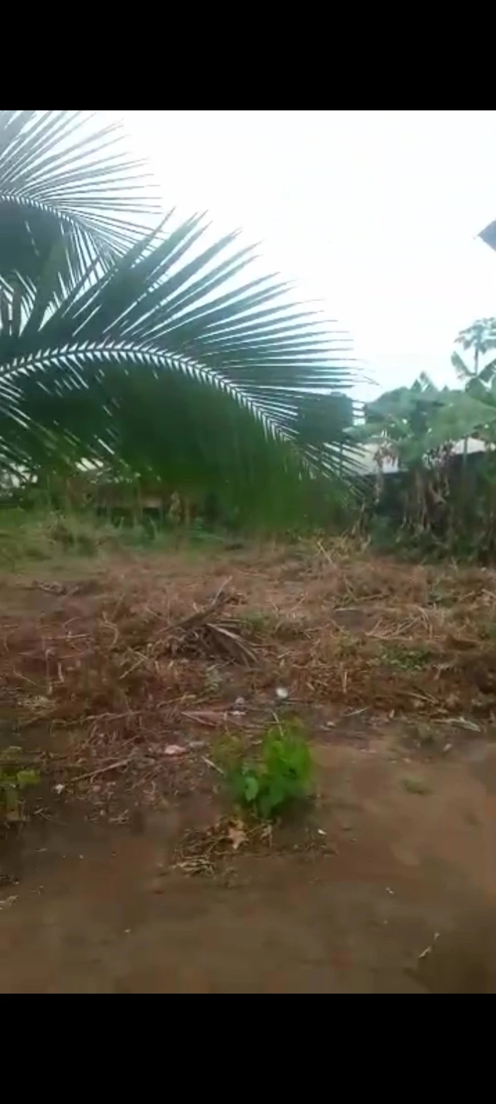 Land for Sale in etinan, Akwa Ibom - Image 1