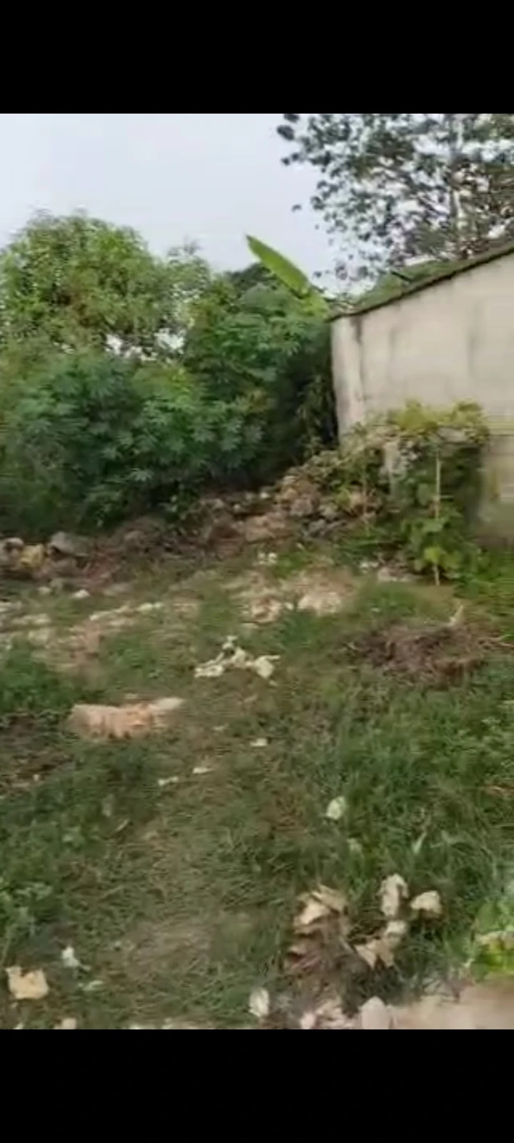 Land for Sale in Behind John Linus house  Mbierebe OBIO, Akwa Ibom - Image 1