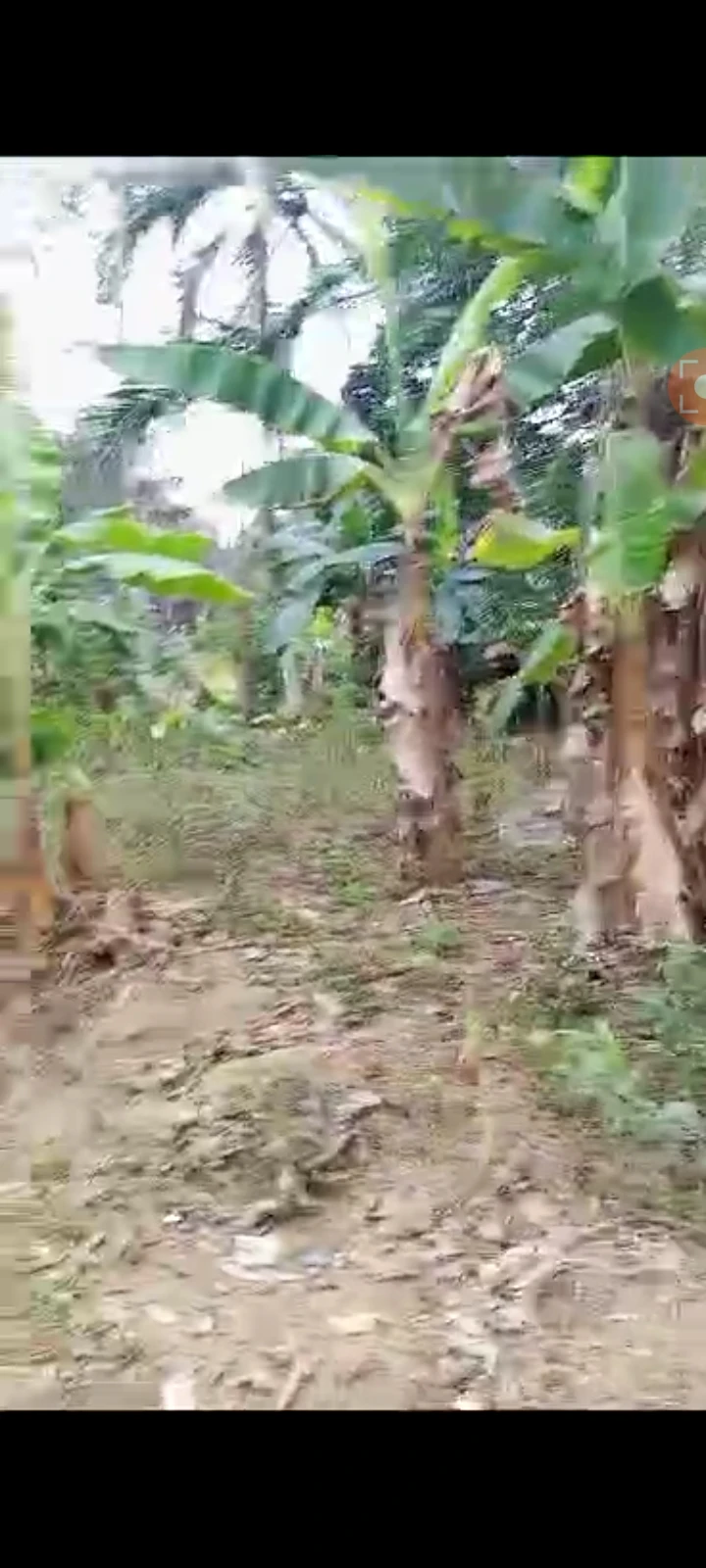Land for Sale in NUNG ETTE shelter ext., Akwa Ibom cover picture