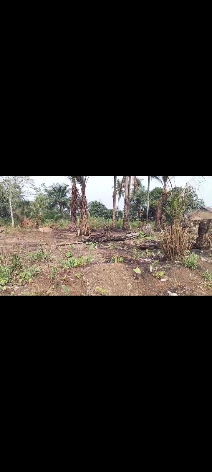 Land for Sale in Idoro Road, Akwa Ibom cover picture