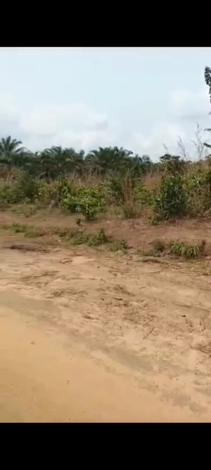 Land for Sale in Etim ekpo, Akwa Ibom cover picture