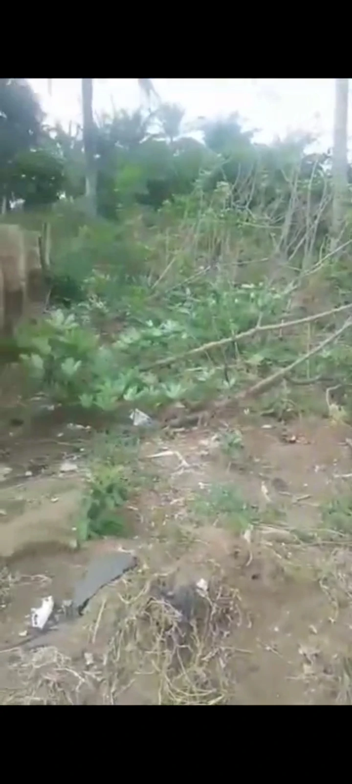 Land for Sale in Ikot ebom itam, Akwa Ibom