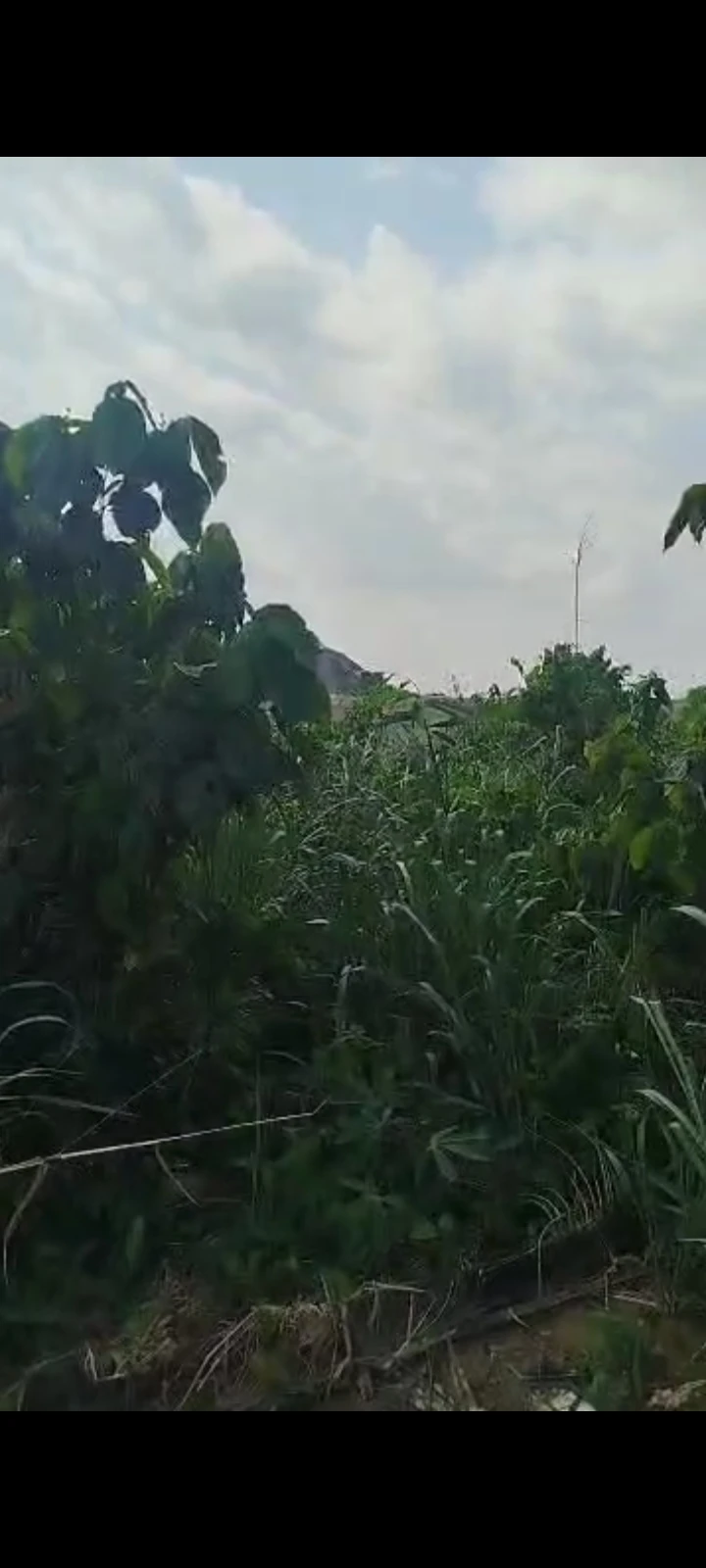 Land for Sale in Shelter afrrique extension, Akwa Ibom cover picture