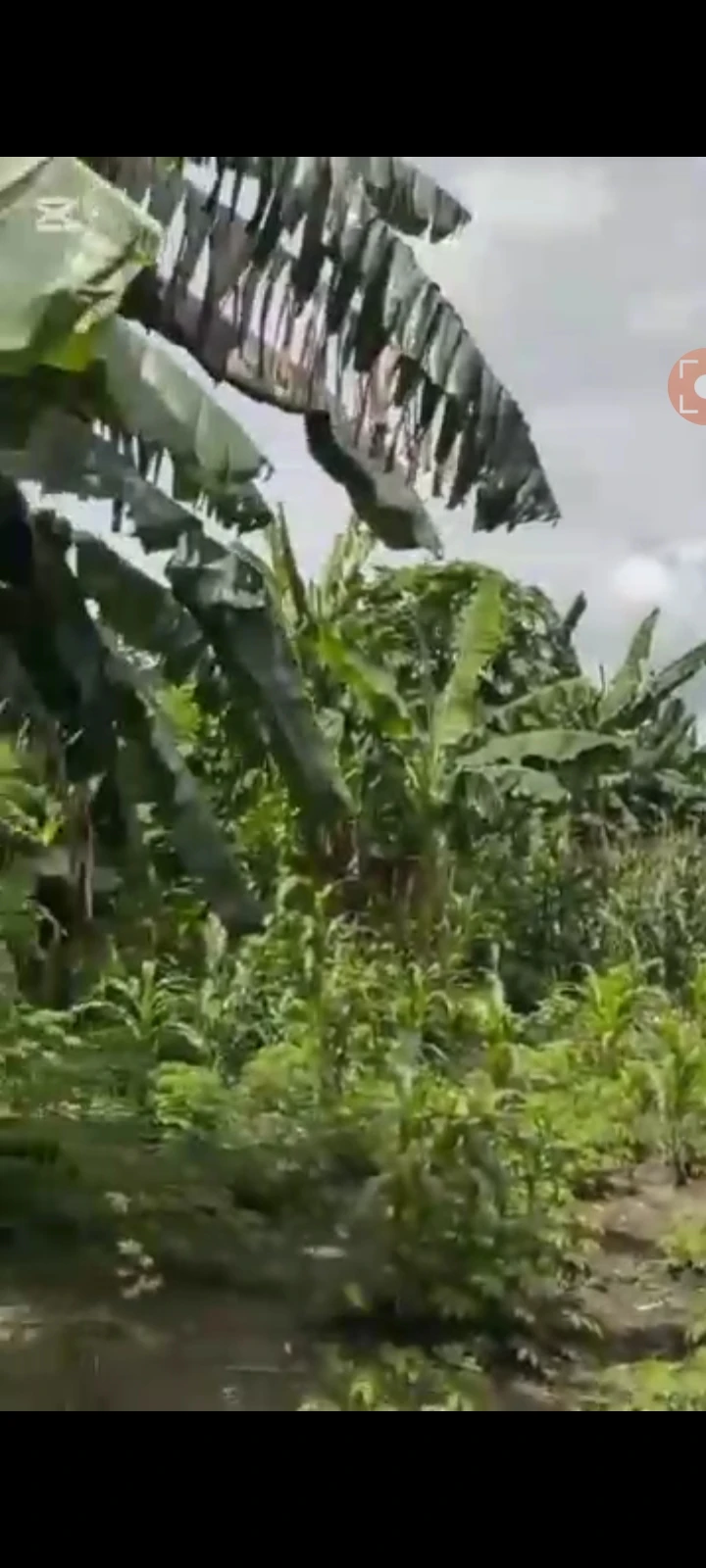 Land for Sale in Oron Road, Akwa Ibom cover picture
