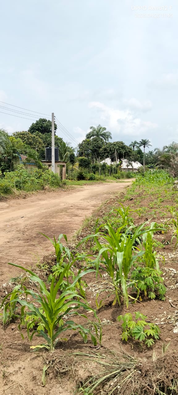 Land for Sale in Ediene ikot obio,off idoro road by pepsi, Akwa Ibom cover picture