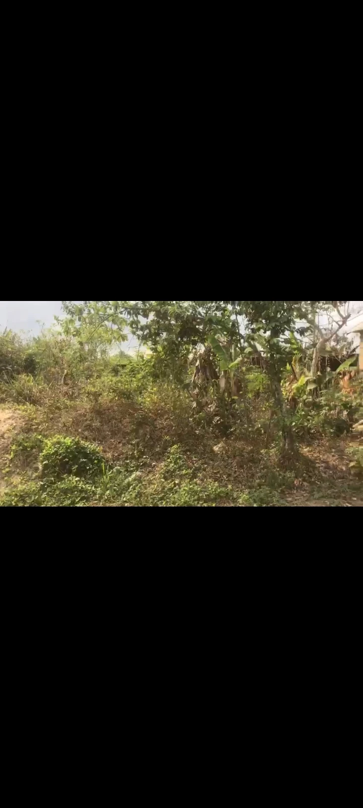 Land for Sale in Oron Road, Akwa Ibom cover picture