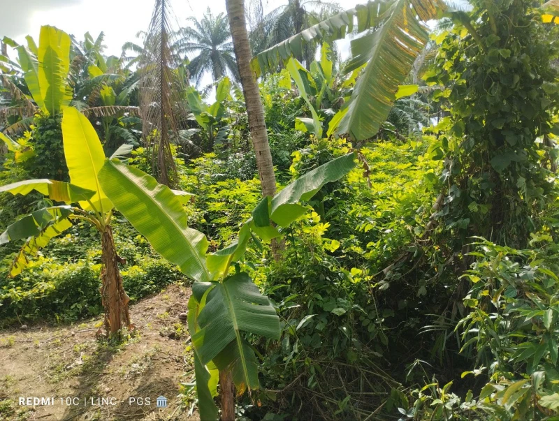 Land for Sale in Etinan road .., Akwa Ibom cover picture