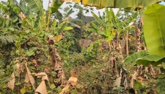 Land for Sale in SHELTER AFRIQUE EXTENSION, Akwa Ibom