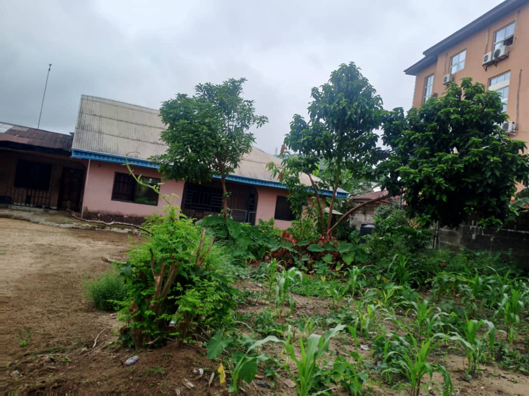 Land for Sale in Edet Akpan avenue ,by 4 lane, Akwa Ibom cover picture