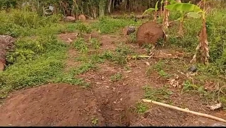 Land for Sale in Shelter afrrique extension, Akwa Ibom cover picture