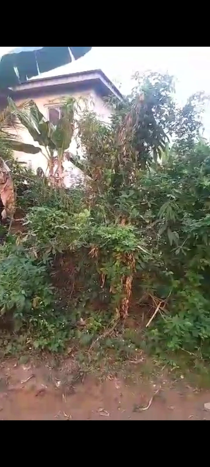 Land for Sale in Akpasak Estate, Akwa Ibom cover picture