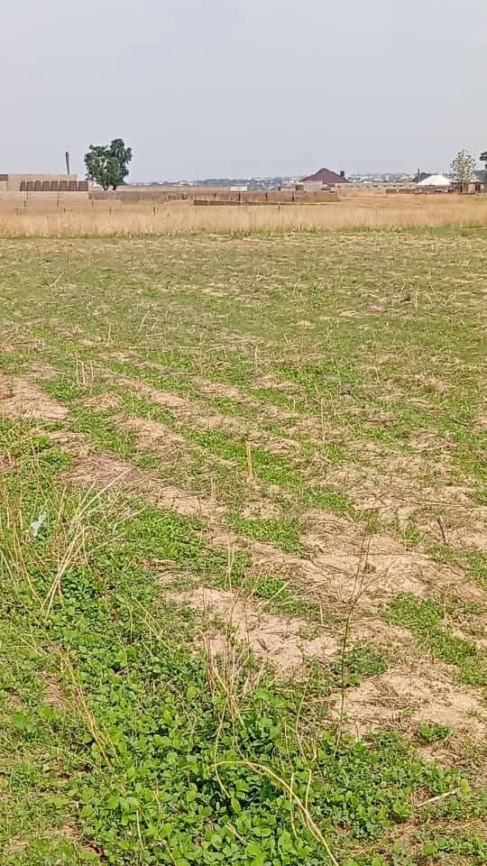 Land for Sale in Karji around Shema axid, Kaduna cover picture