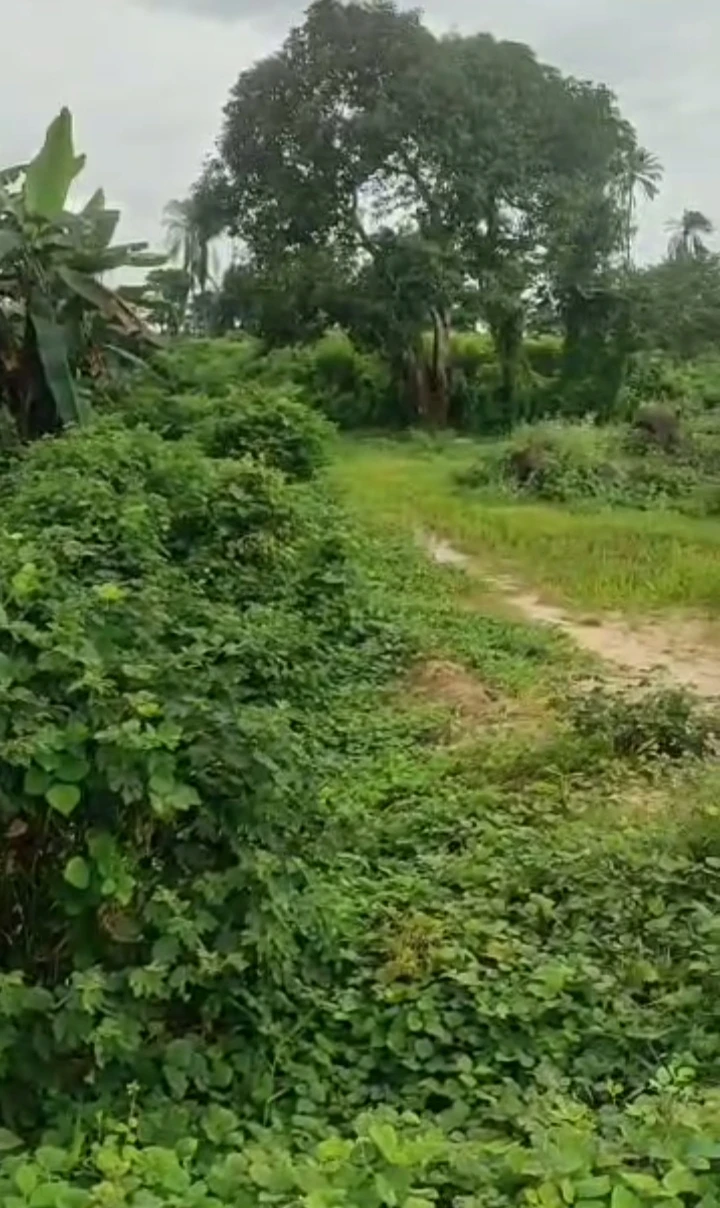 Land for Sale in Niger cat, Delta - Image 1
