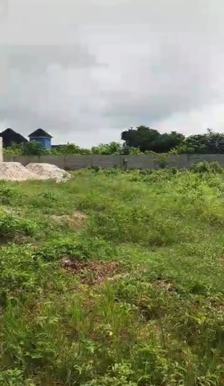 Land for Sale in Warri Delta state, Delta - Image 2