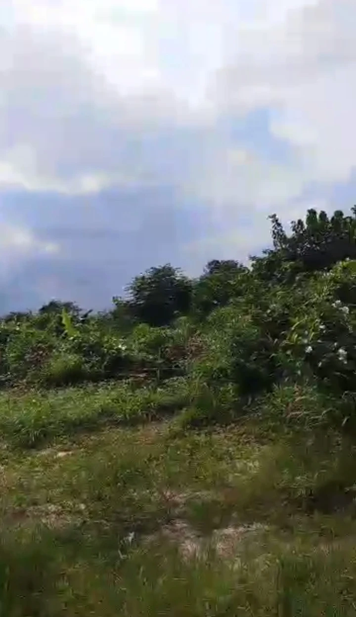 Land for Sale in Warri Delta state, Delta - Image 1