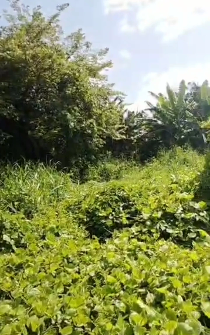 Land for Sale in Ekpan Warri Delta state, Delta - Image 2