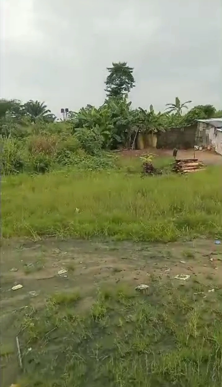 Land for Sale in Warri Delta state, Delta - Image 3