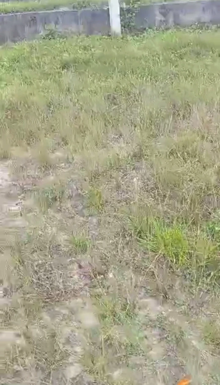 Land for Sale in Warri Delta state, Delta - Image 2