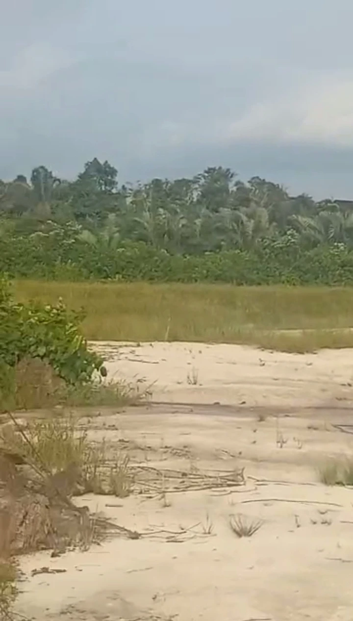 Land for Sale in Opete, Delta - Image 2