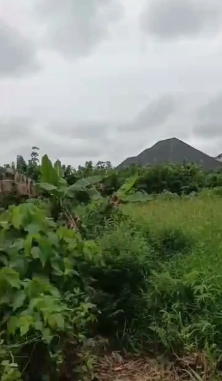 Land for Sale in Niger cat Warri Delta state, Delta - Image 1