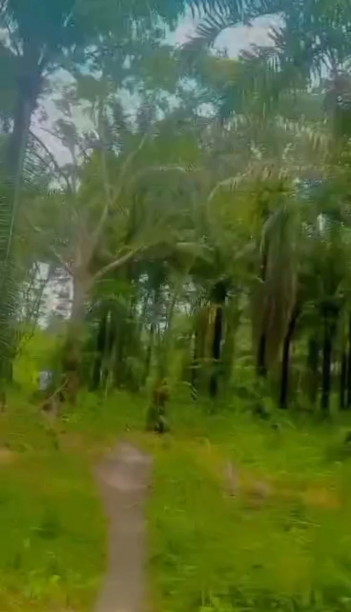 Land for Sale in Niger cat, Delta - Image 2