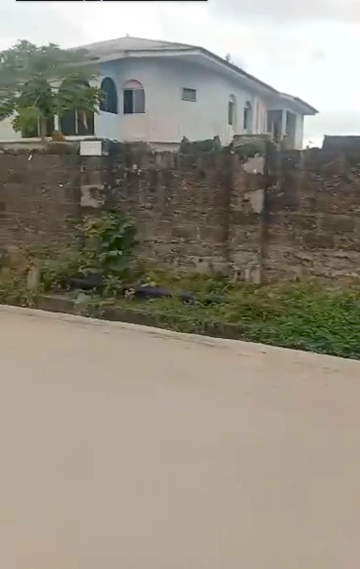 Land for Sale in Jakpa road, Delta - Image 2
