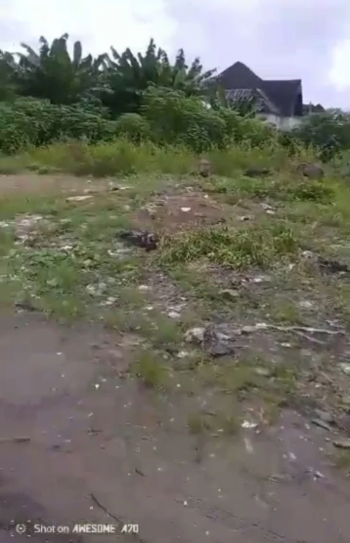 Land for Sale in Jakpa road, Delta - Image 2