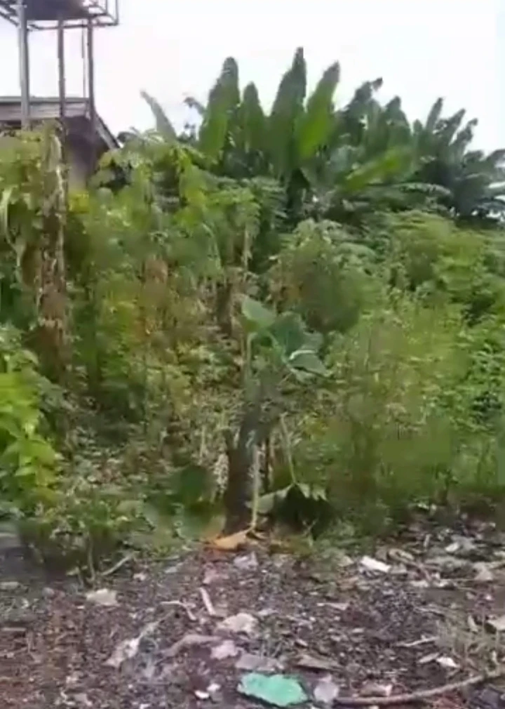 Land for Sale in Jakpa road, Delta - Image 4