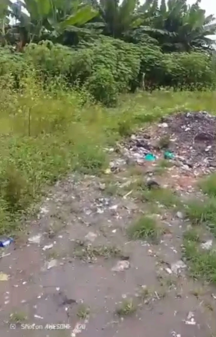 Land for Sale in Jakpa road, Delta - Image 3