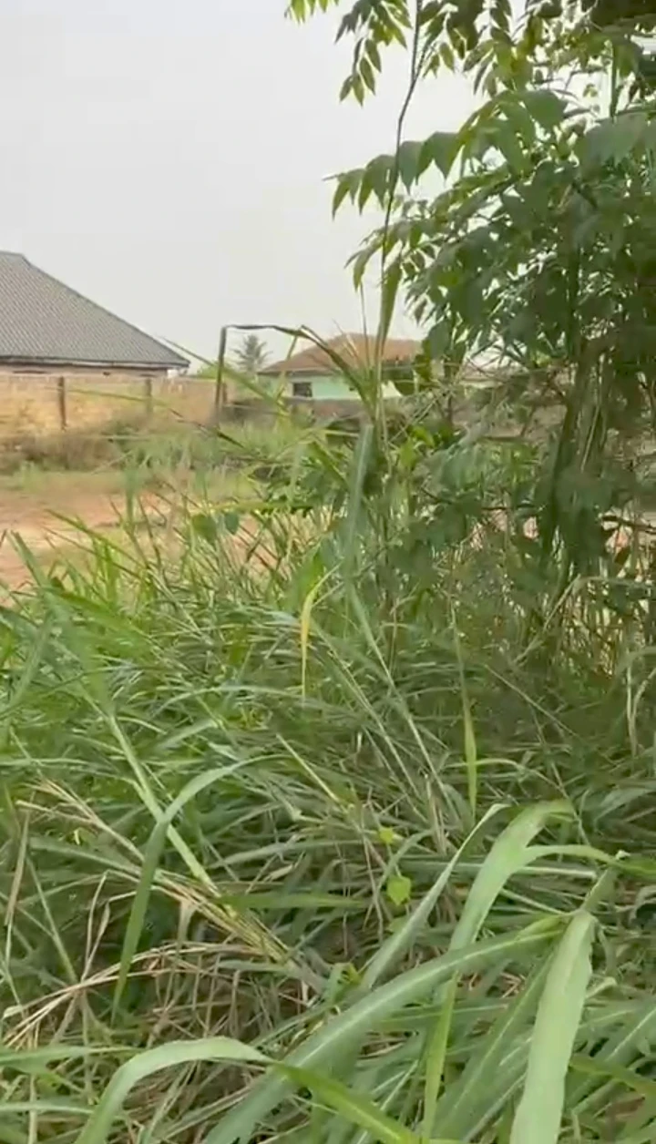 Land for Sale in Ekehuaw road, Edo - Image 2