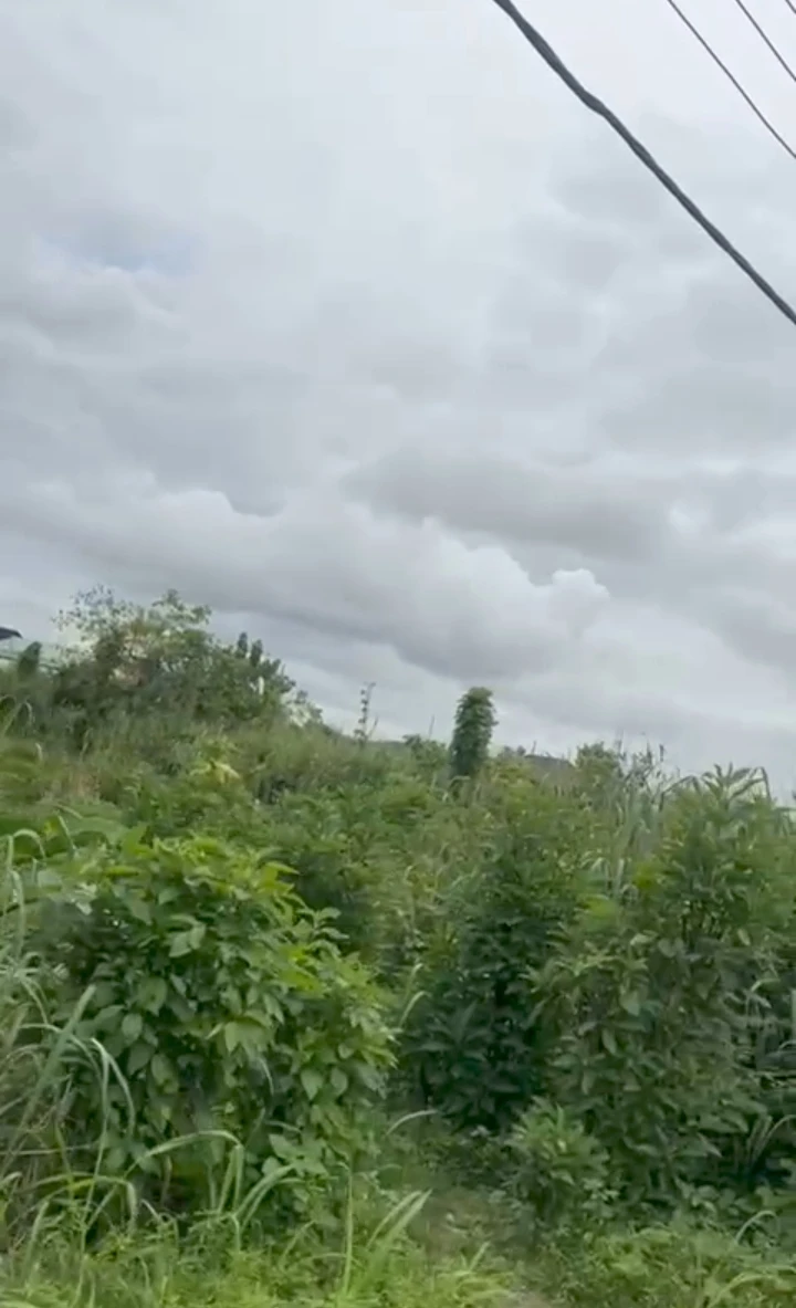 Land for Sale in Chalisco, Delta - Image 1