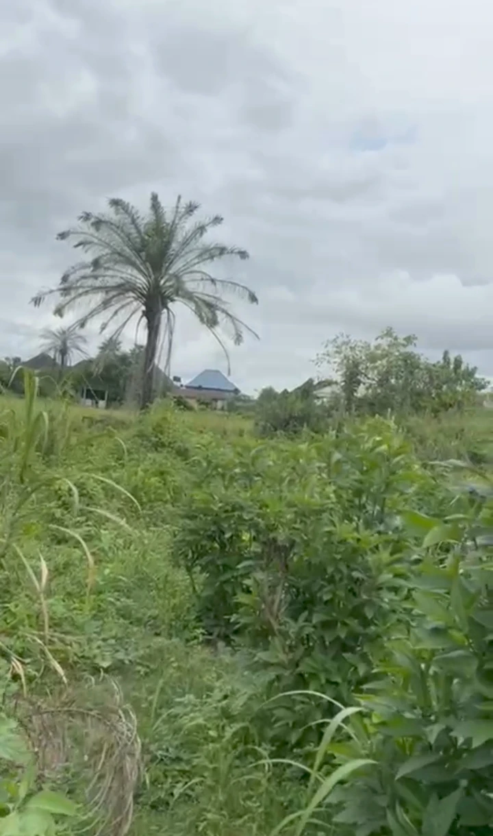 Land for Sale in Chalisco, Delta - Image 2
