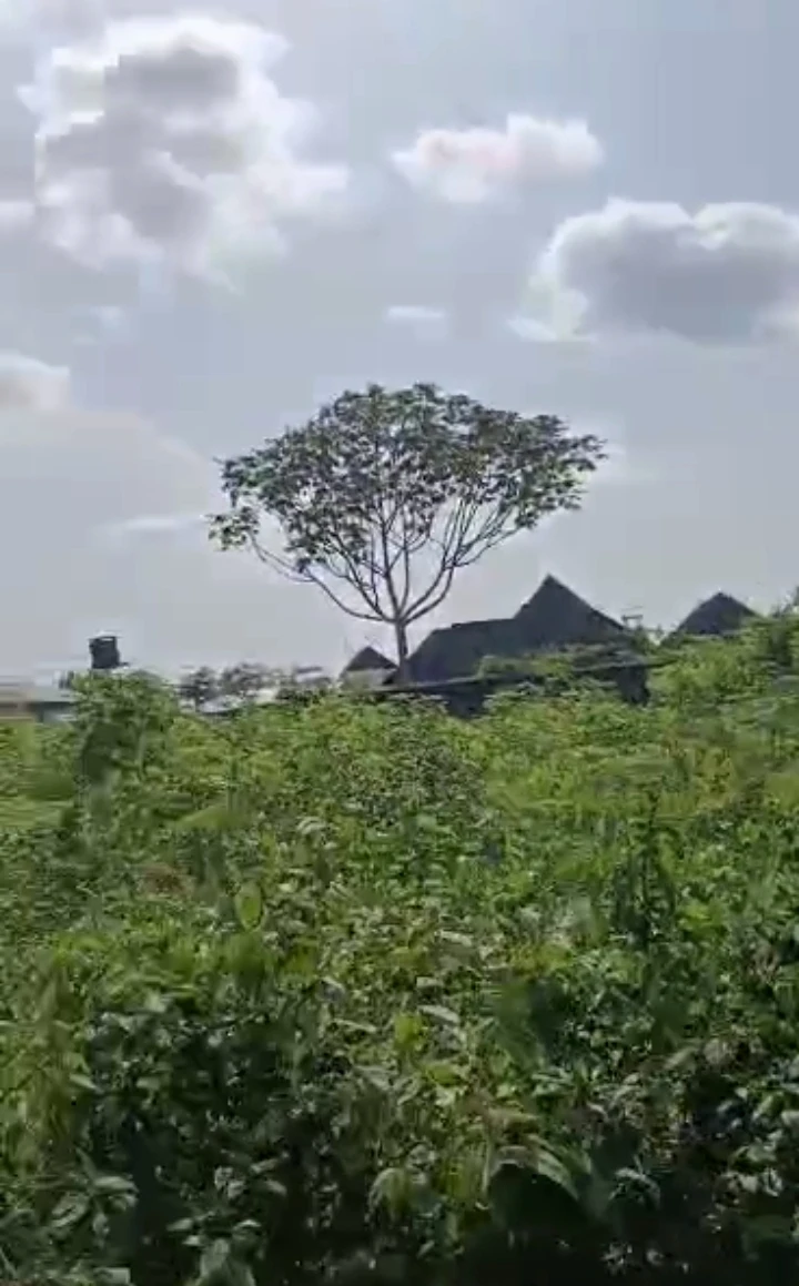 Land for Sale in Opete, Delta - Image 1