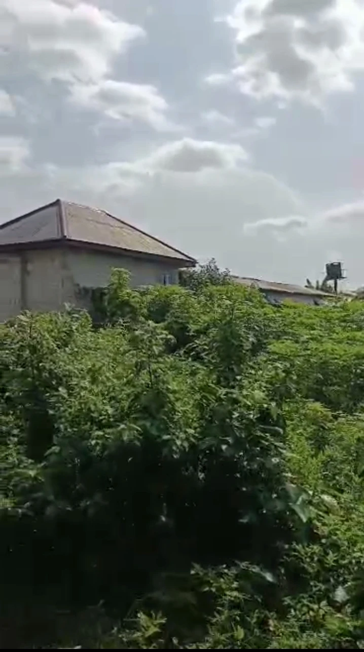Land for Sale in Opete, Delta - Image 2