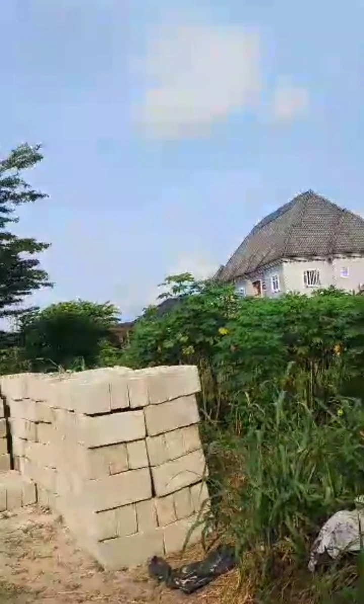 Land for Sale in Opete, Delta - Image 3