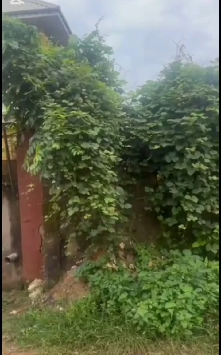 Land for Sale in Airport road, Edo - Image 2