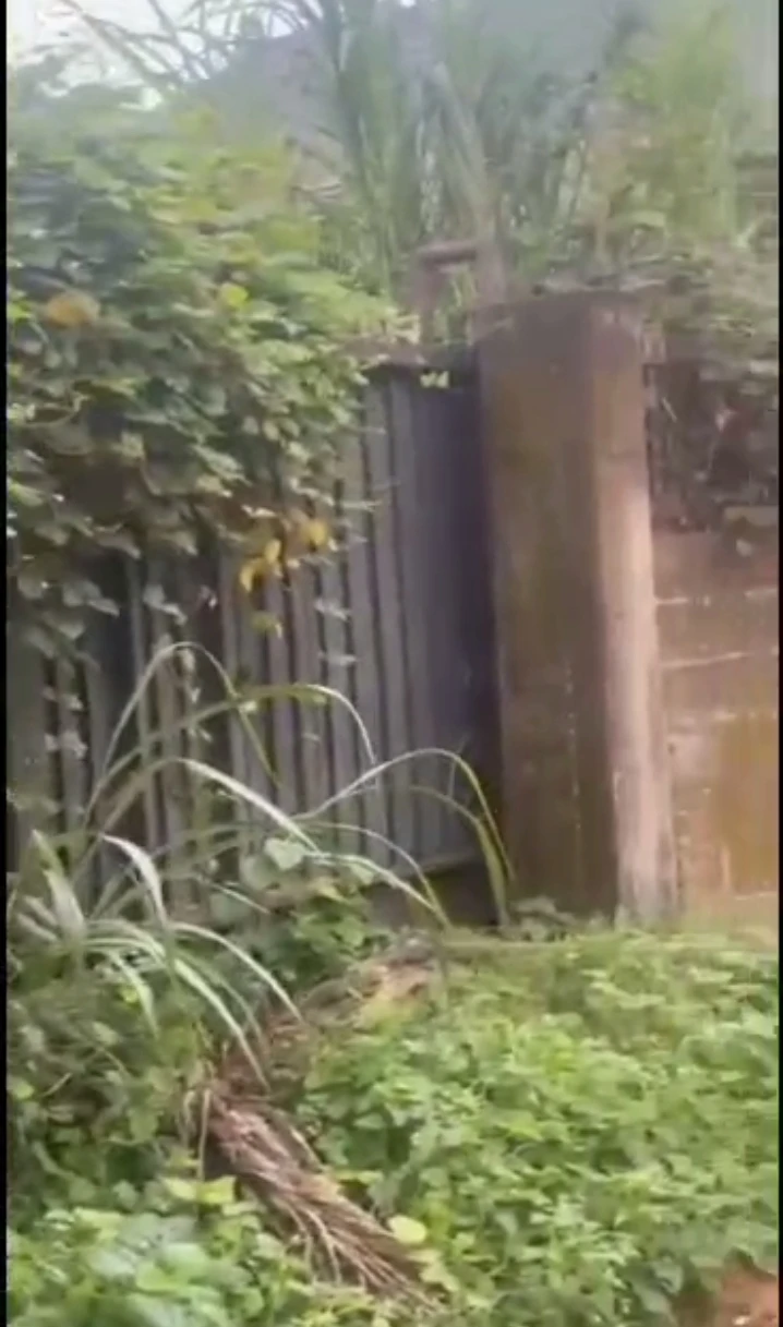 Land for Sale in Airport road, Edo - Image 4