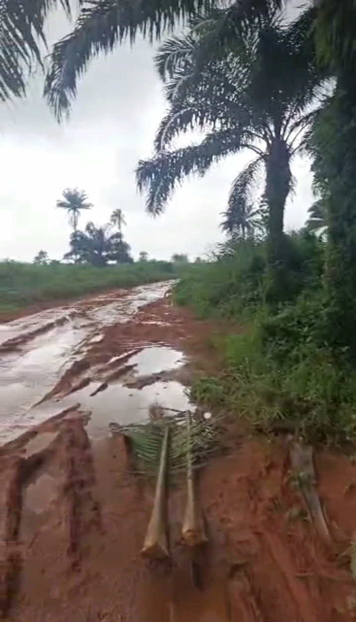 Land for Sale in Iguogie, Edo - Image 1