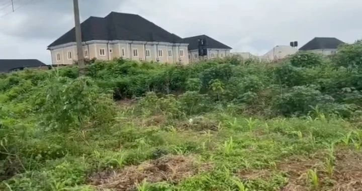 Land for Sale in Iyoha community, Edo - Image 3