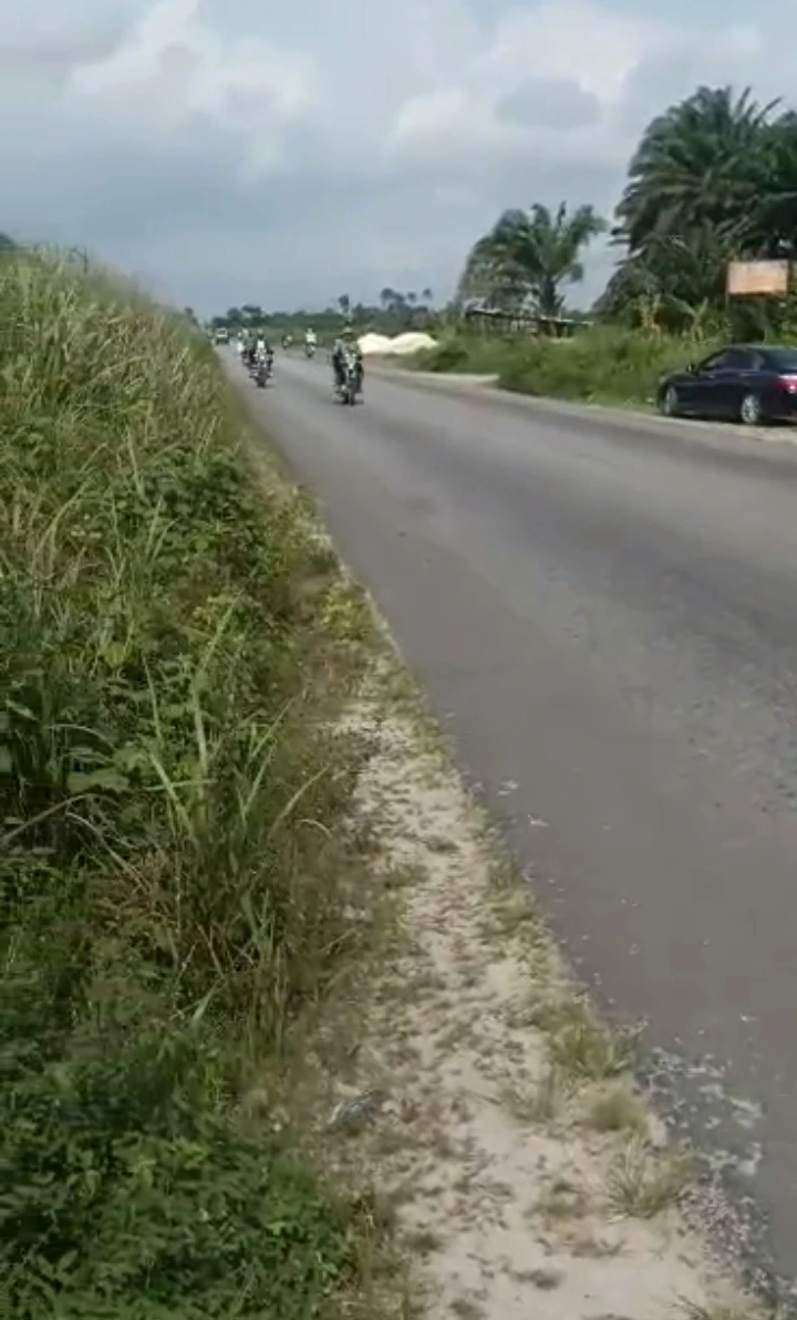 Land for Sale in Udu, Delta - Image 3