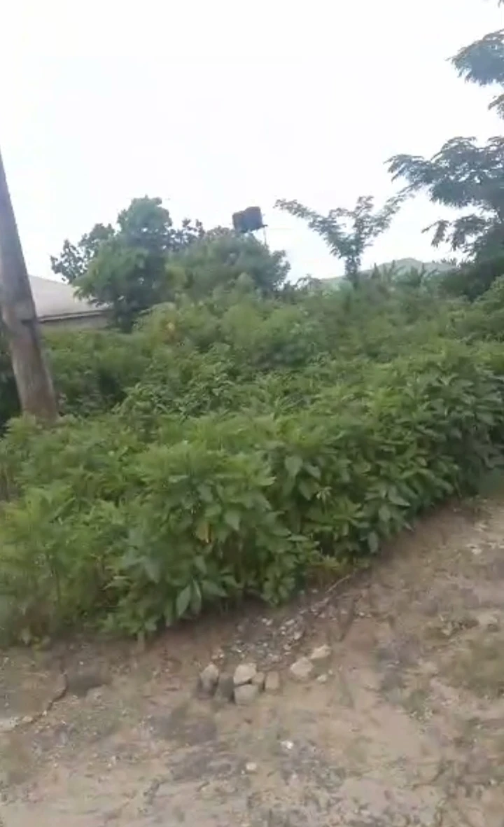 Land for Sale in Opete, Delta - Image 1