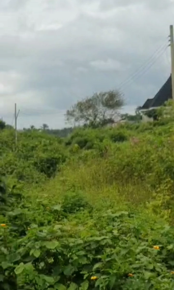 Land for Sale in Jedd, Delta - Image 2