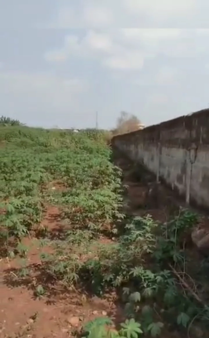 Land for Sale in Obe sapele road by RCC, Edo - Image 4