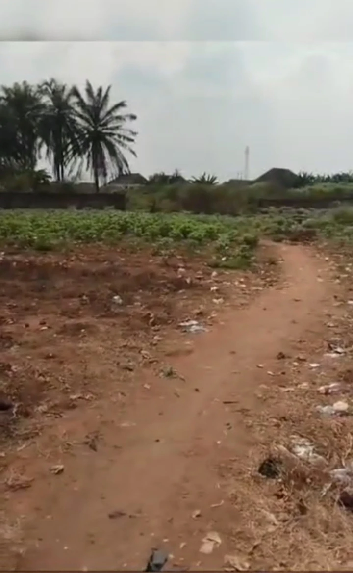 Land for Sale in Obe sapele road by RCC, Edo - Image 2