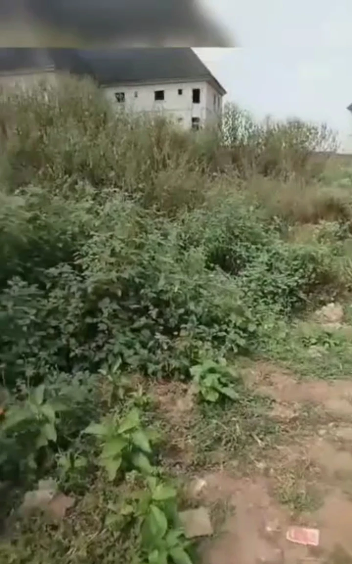 Land for Sale in Obe sapele road by RCC, Edo - Image 1